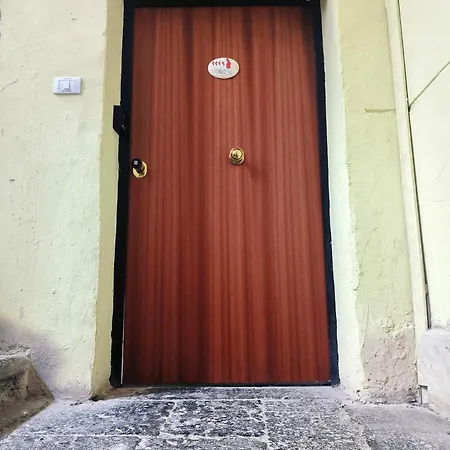 DioNilo 30-3
